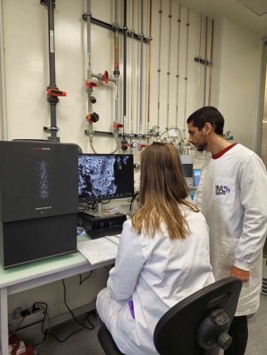 Valerie Theuns at INL