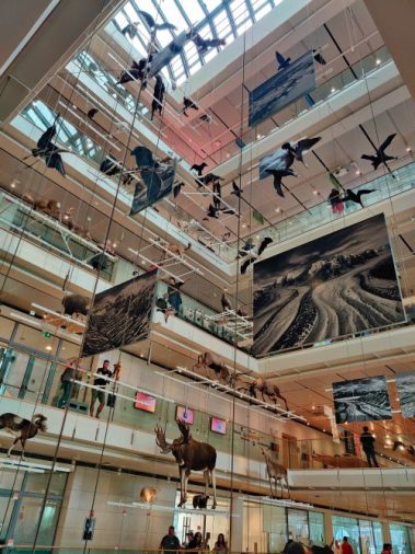 Knowskite-X Summer School