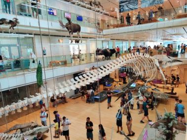 Knowskite-X Summer School