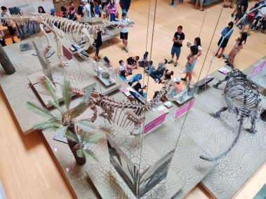 Knowskite-X Summer School