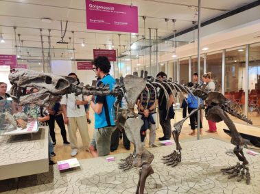 Knowskite-X Summer School