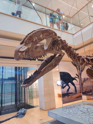 Knowskite-X Summer School