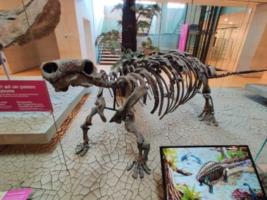 Knowskite-X Summer School