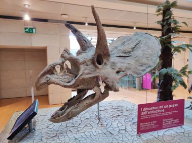 Knowskite-X Summer School