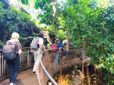 Knowskite-X Summer School