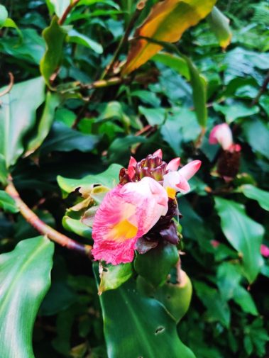 Knowskite-X Summer School